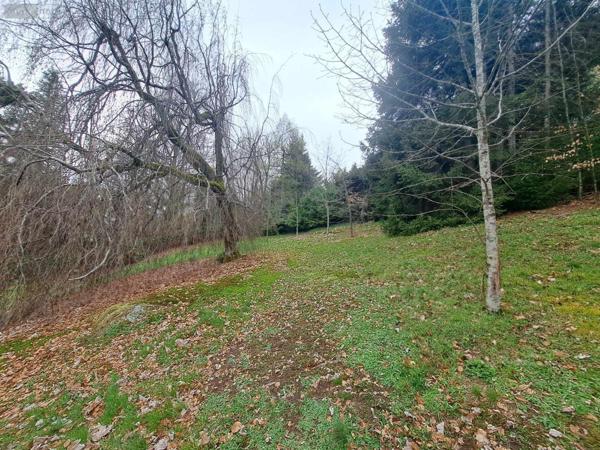 Maison à vendre à Gérardmer dans les Vosges (88400), ref : CM4