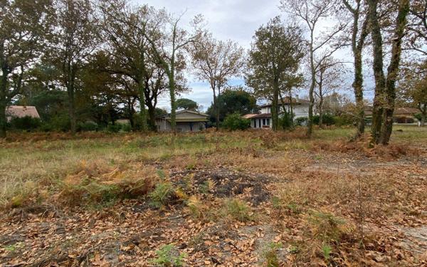 Terrain à vendre    Moliets-et-Maa