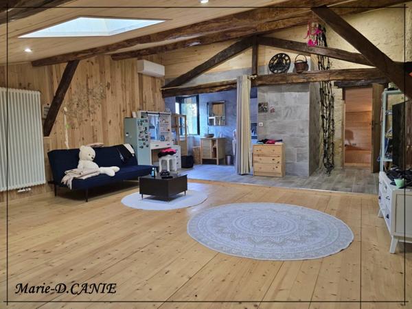 Domaine de prestige avec maison, gîte et dépendances, dans le Nord du Gers, à La Romieu, aux portes des Landes et du Lot-et-Garonne.