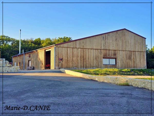 Domaine de prestige avec maison, gîte et dépendances, dans le Nord du Gers, à La Romieu, aux portes des Landes et du Lot-et-Garonne.