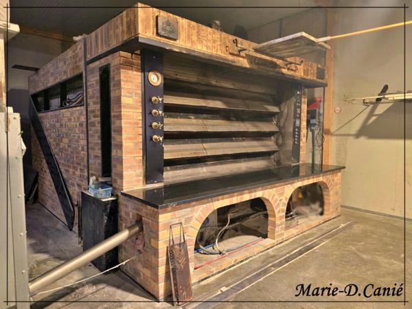 Domaine de prestige avec maison, gîte et dépendances, dans le Nord du Gers, à La Romieu, aux portes des Landes et du Lot-et-Garonne.