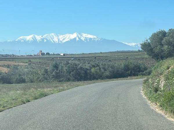 Terrain agricole plat de 1 hectare