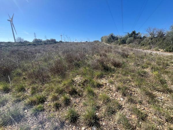 Terrain agricole plat de 1 hectare