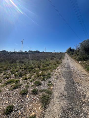 Terrain agricole plat de 1 hectare