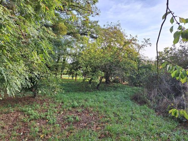 Terrain à Batir à vendre à Mauron dans le Morbihan (56430), ref : 58TAB