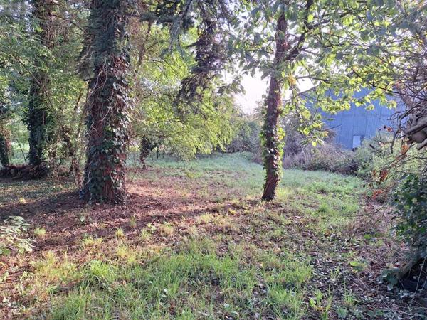 Terrain à Batir à vendre à Mauron dans le Morbihan (56430), ref : 58TAB