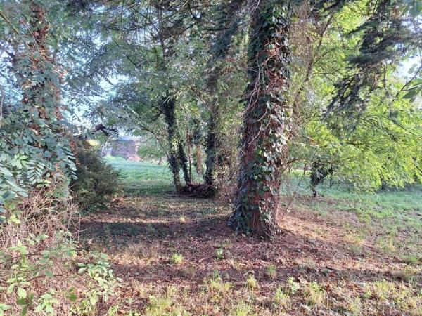 Terrain à Batir à vendre à Mauron dans le Morbihan (56430), ref : 58TAB