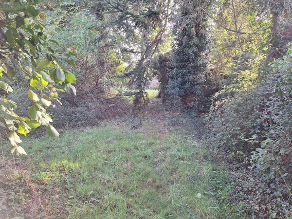 Terrain à Batir à vendre à Mauron dans le Morbihan (56430), ref : 58TAB