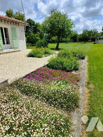 Maison à vendre à SAINT-SYMPHORIEN (79270) sur plus de 1 hectare de terrain