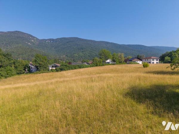 EXCLUSIVITÉ – DIVONNE-LES-BAINS – PROPRIÉTÉ D'EXCEPTION SUR PLUS DE 3 HECTARES