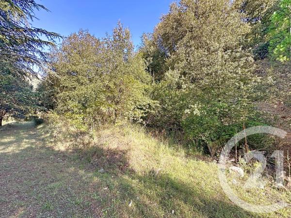 Terrain à vendre  17109 m2 ARLES SUR TECH - 66