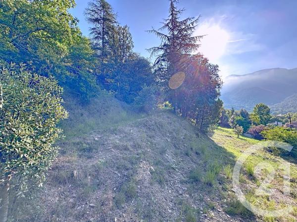 Terrain à vendre  17109 m2 ARLES SUR TECH - 66