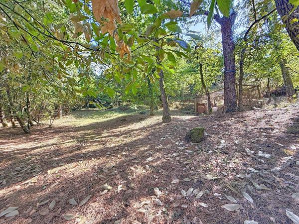 Belle maison d'architecte située à Rochefort Sur Loire proche des commodités. Avec terrain arboré de 2000 m²