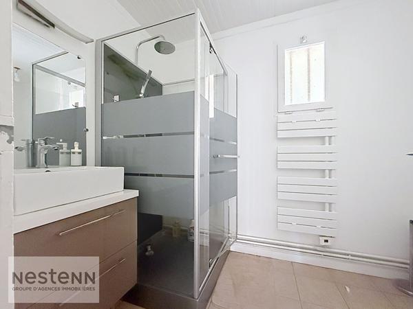 Pension Canine et Maison spacieuse à vendre à Sallertaine avec piscine et grand terrain