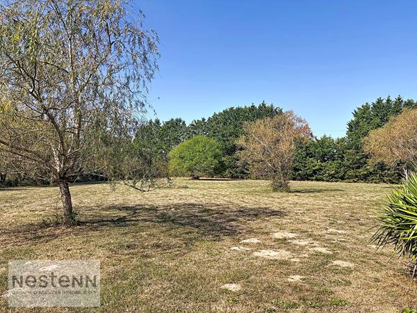 Pension Canine et Maison spacieuse à vendre à Sallertaine avec piscine et grand terrain