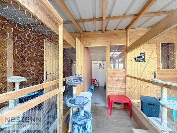 Pension Canine et Maison spacieuse à vendre à Sallertaine avec piscine et grand terrain