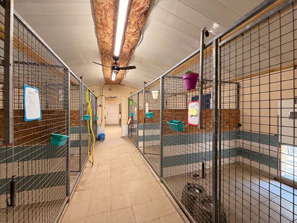Pension Canine et Maison spacieuse à vendre à Sallertaine avec piscine et grand terrain
