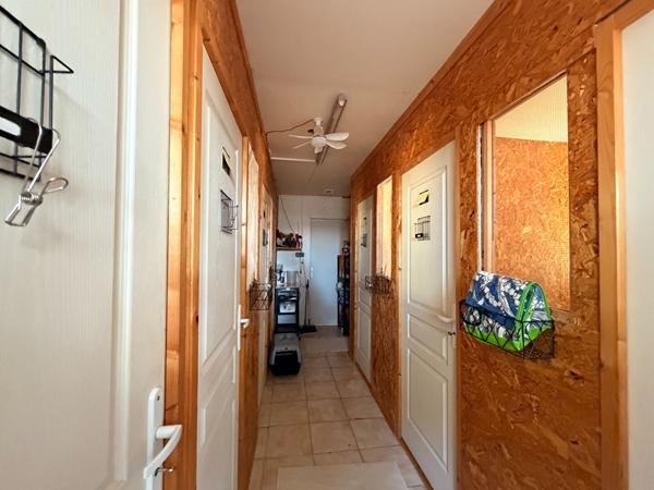 Pension Canine et Maison spacieuse à vendre à Sallertaine avec piscine et grand terrain