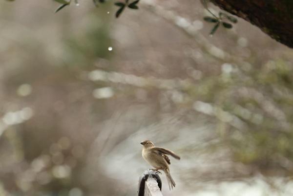 Terrain avec belle vue dégagée et panoramique