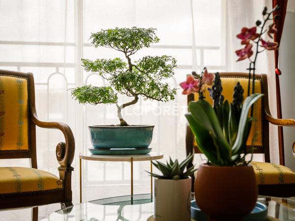 Achat appartement Conflans-Sainte-Honorine - 3 pièce(s) - 62 m² - 252 000 €