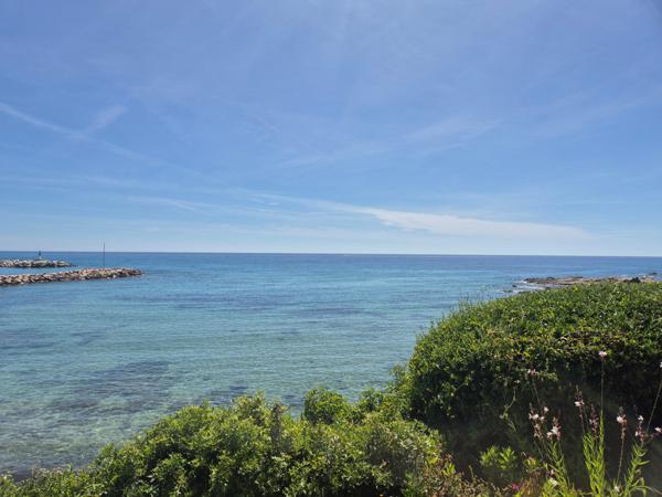 Magnifique appartement de 70m2 et terrasse spacieuse les pieds dans l'eau
