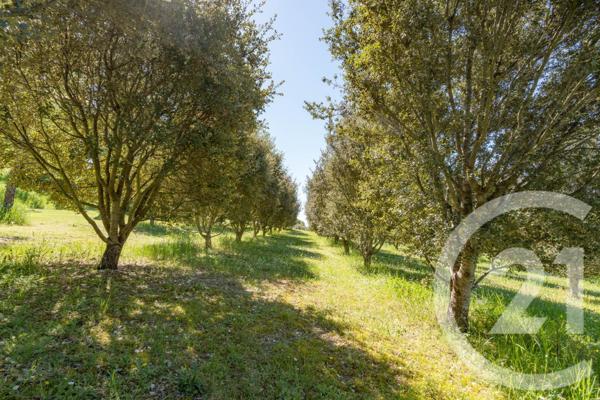 Maison à vendre  12 pièces - 399,30 m2 CAGNAC LES MINES - 81