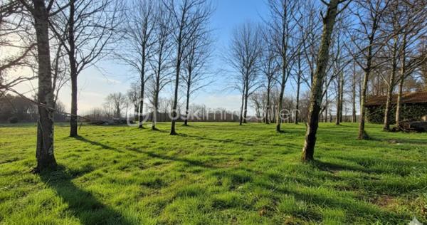 Coup de cœur assuré : Demeure de charme entièrement rénovée avec piscine et grand parc

Située au calme absolu en pleine campagne, à l'abri des regards, découvrez cette magnifique propriété alliant le cachet intemporel de l'ancien et le confort moderne grâce à des travaux importants de rénovation réalisés avec soin.

D'une surface généreuse de 210m² habitable, cette maison lumineuse et chaleureuse se compose de :
Pièces de vie : Un vaste salon-séjour convivial 
Une cuisine aménagée et équipée, parfaits pour recevoir.
Une buanderie - Chaufferie
5 chambres spacieuses dont un bureau idéal pour le télétravail.
Une superbe suite parentale privative garantissant un confort absolu.

Performance énergétique : Classée D, un atout rare et performant pour une bâtisse de ce cachet.

Les Extérieurs et Potentiel :
L'espace détente : Profitez d'une superbe piscine entourée d'une grande terrasse ensoleillée, idéale pour les beaux jours.
Le terrain : Magnifiques hectares de prés attenants, parfait pour des projets de nature, des animaux ou des espaces verts infinis.

Dépendances : Un immense garage de plus de 100 m², offrant un potentiel exceptionnel de stockage, d'atelier ou de stationnement pour plusieurs véhicules.

Projet professionnel et touristique : Grâce à ses volumes, sa configuration et son environnement privilégié, cette propriété offre une belle opportunité pour la création de chambres d'hôtes.

Un bien rare sur le marché, prêt à accueillir votre projet de vie ou d'investissement.

Contactez-moi dès aujourd'hui pour organiser une visite et découvrir tout le potentiel de ce havre de paix.
Ouverte à l'inter-agence