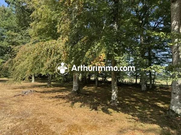 Vente                                                      Propriété
                        
                                         215 m2                     à Bagnoles-de-l'Orne-Normandie