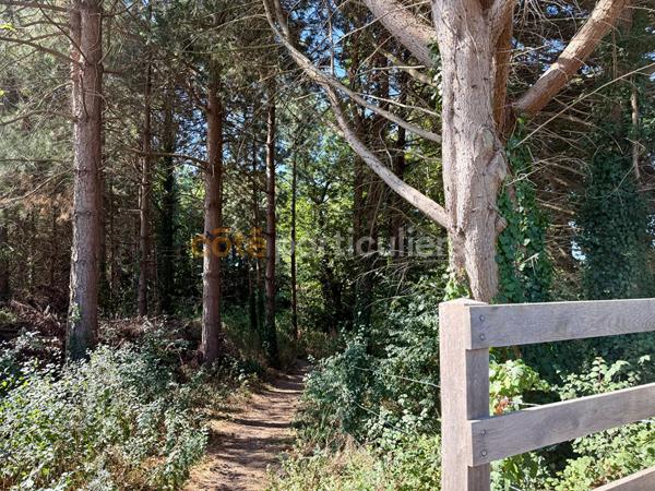 Vente
                Maison135,5 m² - 8 Pièces -
                    SAINT PAIR SUR MER (50380)
