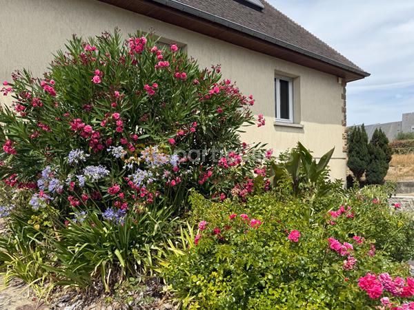 Vente
                Maison135,5 m² - 8 Pièces -
                    SAINT PAIR SUR MER (50380)