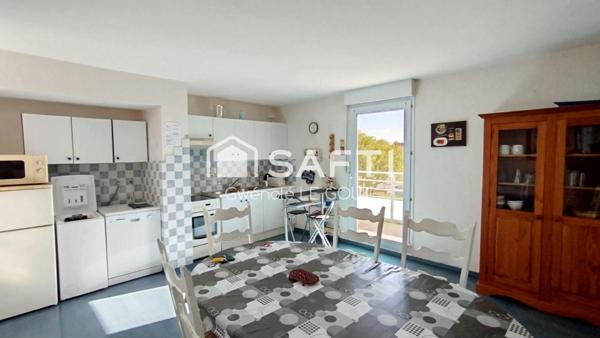 Charmant appartement lumineux au bord de mer !