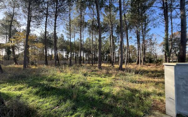 Terrain à vendre    Seignosse