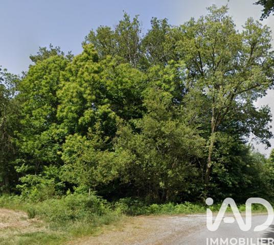 Terrain à vendre 16 400 m² Séreilhac