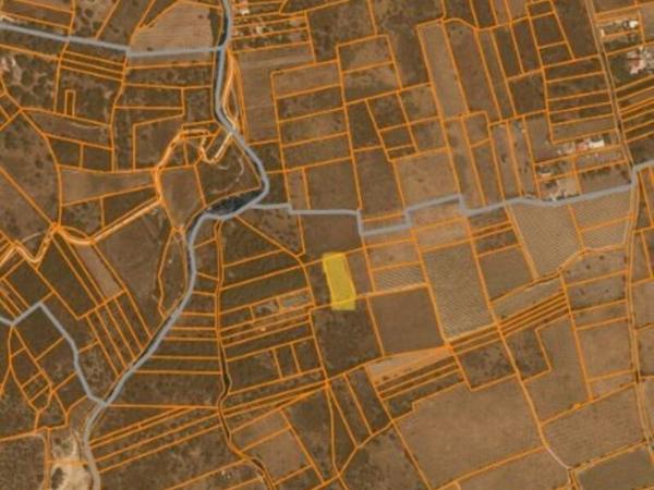 Vente / Terrain agricole