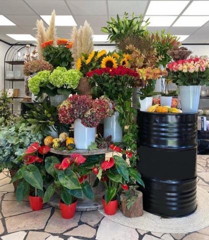 Unique et rare sur Montmorency sans concurrence proche