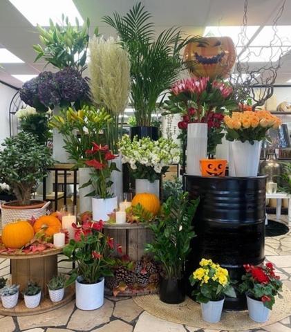 Unique et rare sur Montmorency sans concurrence proche