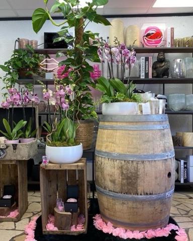 Unique et rare sur Montmorency sans concurrence proche