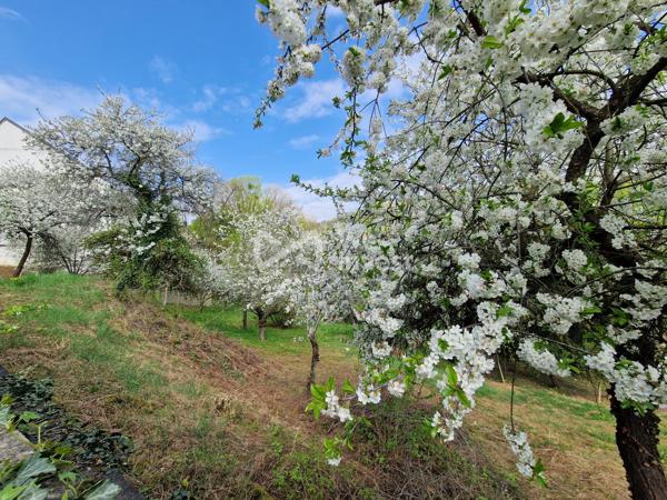Terrain Constructible et divisible 2613m²