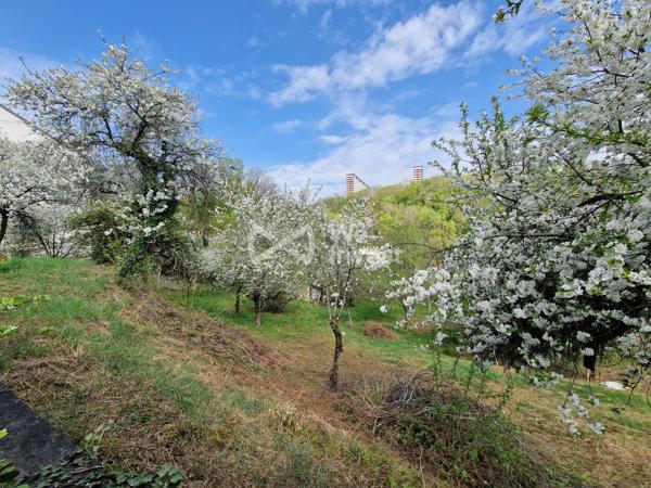 Terrain Constructible et divisible 2613m²