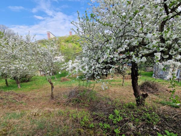 Terrain Constructible et divisible 2613m²