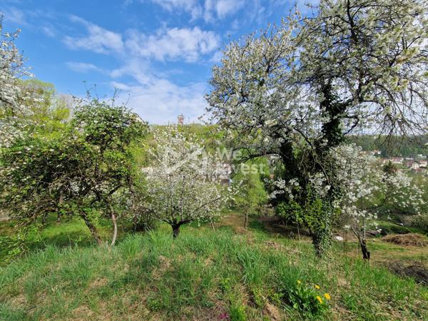 Terrain Constructible et divisible 2613m²