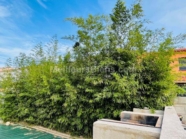 VILLA T4 2 faces 2015 à Saint-Féliu-d'Amont