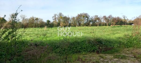 TERAIN CONSTRUCTIBLE