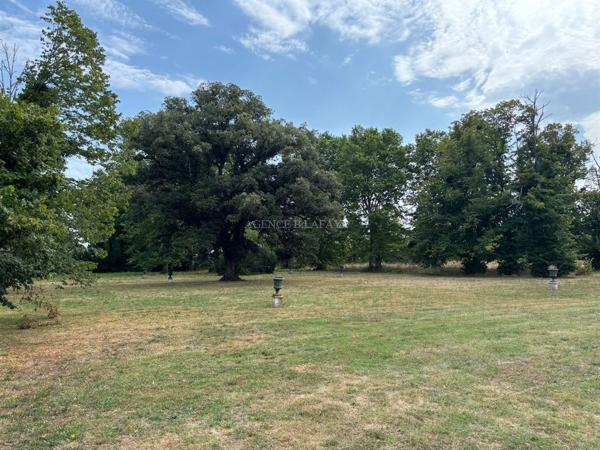 vente propriété 1h de Bordeaux - Entre Saint Emilion et Bergerac