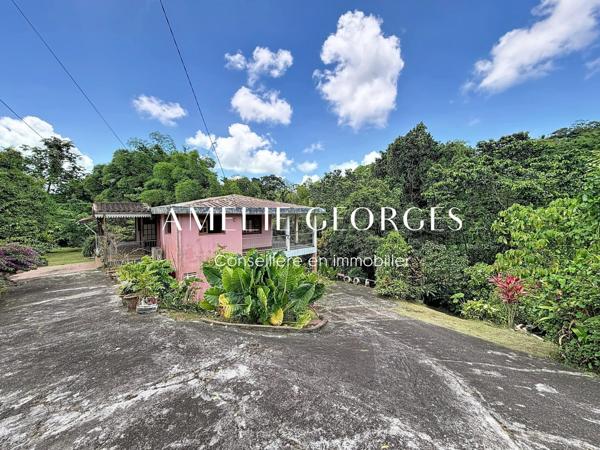 Maison T5 avec deux logements indépendants – 7 638m2 de terrain
