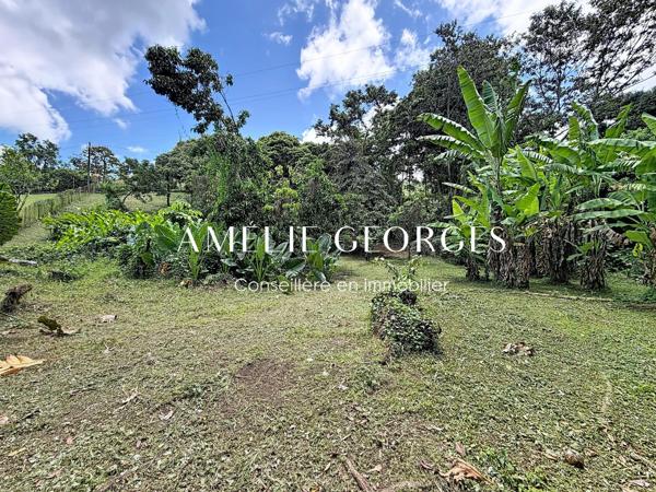 Maison T5 avec deux logements indépendants – 7 638m2 de terrain