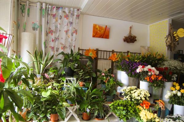 Prix à la baisse pour cette maison à vendre 5 pièces à CAZAUBON (32)