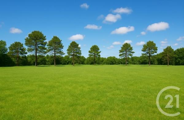 Terrain à vendre  1203 m2 ST GEOURS DE MAREMNE - 40