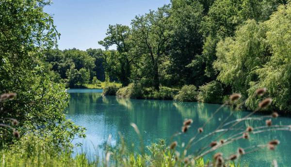 Château historique avec piscine sculptée, lacs, installations équestres, 158 hectares et une vue imprenable dans le Gers, dans le sud-ouest de la France