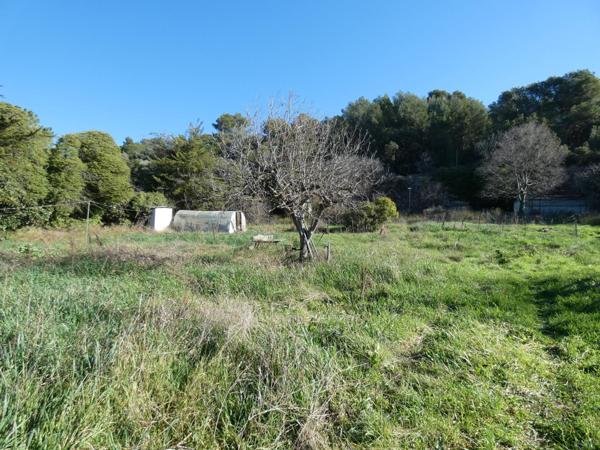 TERRAIN A BATIR VIABILISE HORS LOTISSEMENT DE 2947M²